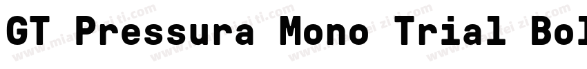 GT Pressura Mono Trial Bold Bold I字体转换